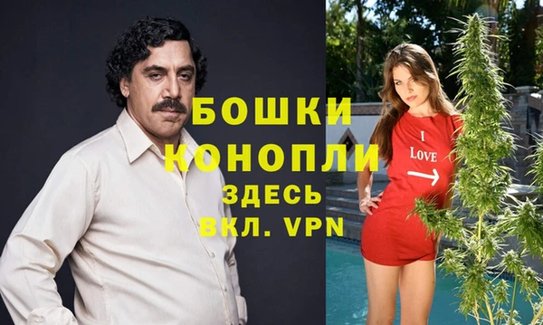твердый Покачи